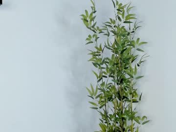 girl _checkit_ capture image #5781141