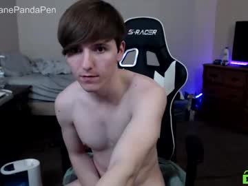 man pandapen capture image #1333772