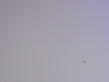 girl sapphirealice capture image #1272317