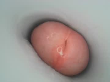 man jeffrodgerschaturbat capture image #3806734