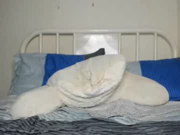 man willyt98 capture image #2543000