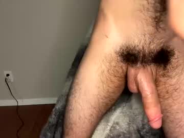 man zayn_hawk capture image #5164804