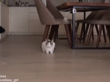 girl evelissa capture image #6495352