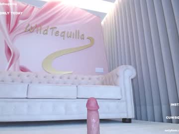 girl wildtequilla capture image #4476709