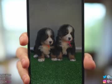 girl loollypop24 capture image #2485874