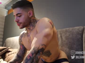man dominic_sullivan1 capture image #2740118