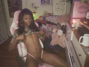 tranny vanniall capture image #1487122
