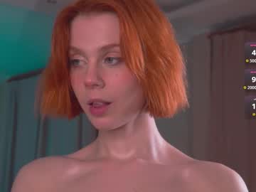 Cam for 69element