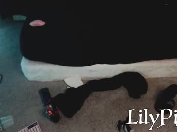 girl lilypixel capture image #2694643