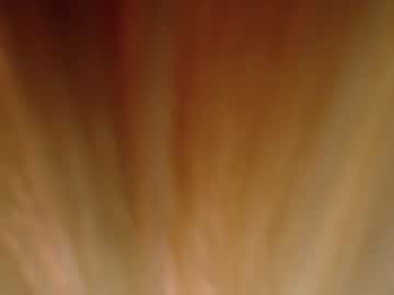 girl a_luscious_faith capture image #1500031