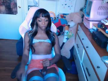 tranny vanniall capture image #927262