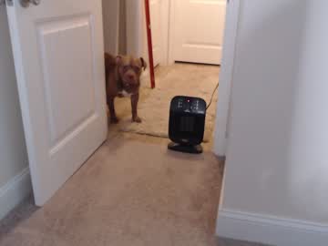 girl holihurricane capture image #3892775