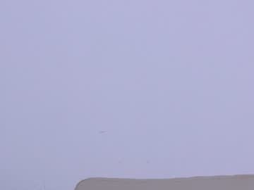 girl shycinderella capture image #626674