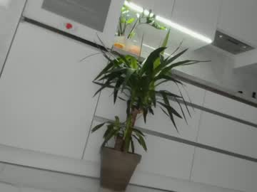 girl meryfoxxx capture image #2669104