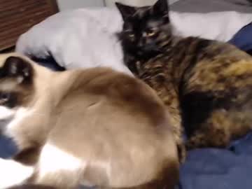man lancehardin capture image #836278