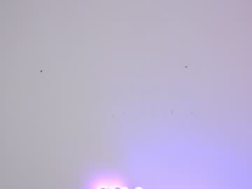 girl sapphirealice capture image #1716012