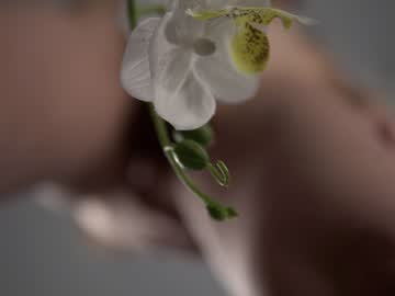 girl neferpita capture image #6493642