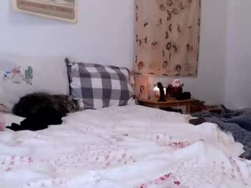 girl brookepeeksxx capture image #1524272