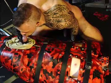 man muscle_dog capture image #210301