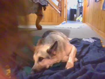 girl rosegold18 capture image #6246135