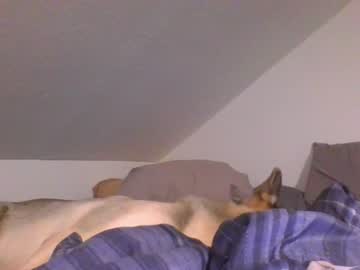 girl rosegold18 capture image #6231436
