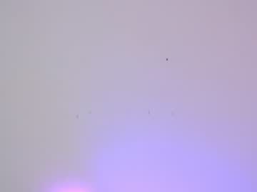 girl sapphirealice capture image #1557137