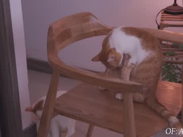 girl maria_alfonsina_ capture image #4746789