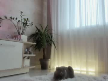 girl meryfoxxx capture image #4064447