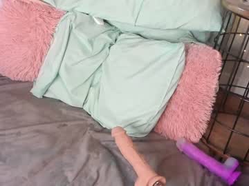 girl paldineswife capture image #952561