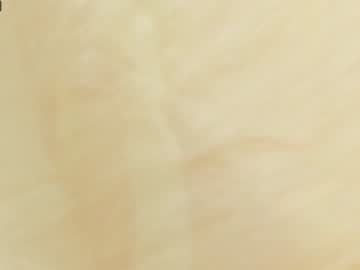 girl linapearl capture image #4616511