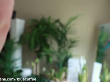 man bluecoffee capture image #2292604