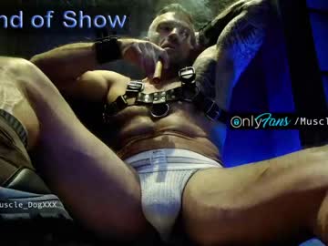 man muscle_dog capture image #1231248