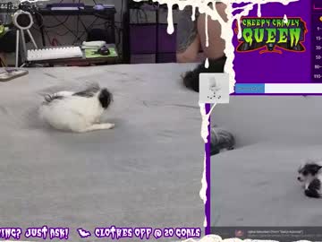 girl creepycrawlyqueen capture image #4630417